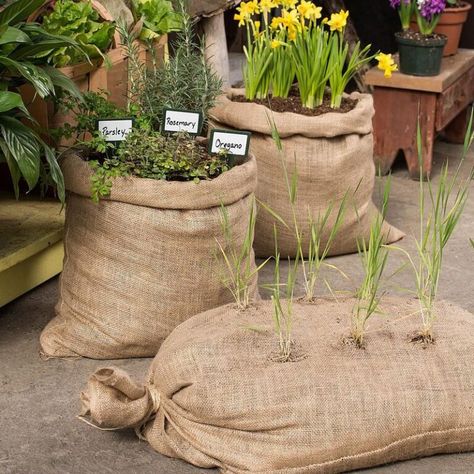 Plant Bags, Burlap Projects, Burlap Bags, Grow Plants, Grow Bags, Veggie Garden, Growing Food, Garden Accessories, Growing Vegetables