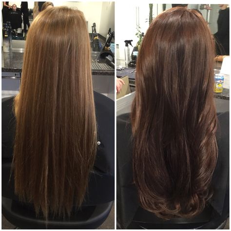 Before and after hair color. Rich chocolate brown hair color. Fall hair Gloss On Brown Hair Before And After, Rich Chocolate Brown Hair Color, Rich Chocolate Brown Hair, Pelo Chocolate, Brown Hair Inspiration, Mocha Hair, Honey Blonde Hair Color, Reddish Brown Hair, Chestnut Hair