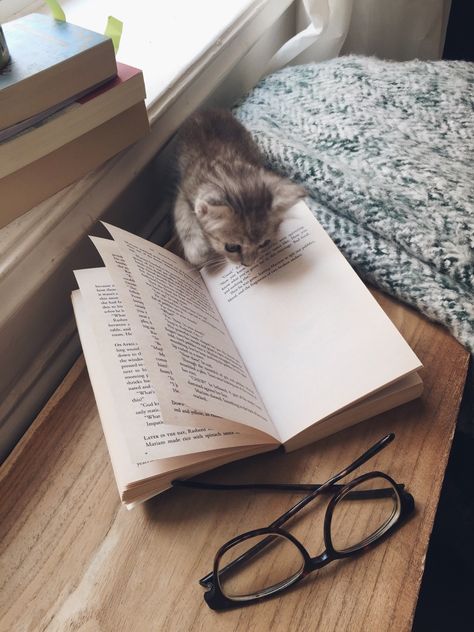 An Open Book, Open Book, A Cat, Reading, Black