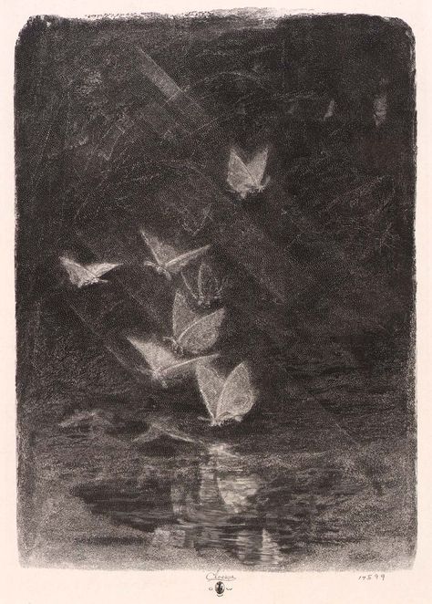 "Is it oblivion or absorption when things pass from our minds?" - Emily Dickinson | Art: Night Moths by William Baxter Closson Stary Papier, Arte Occulta, 흑백 그림, Art Ancien, 수채화 그림, Wood Engraving, Arte Horror, 그림 그리기, Wall Collage