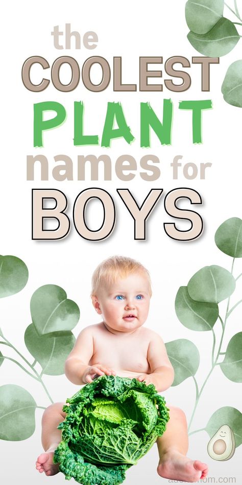 the coolest plant names for boys - picture of baby boy surrounded by green leaves and holding a big head of lettuce Plant Baby Names, Nature Names For Boys, Earthy Boy Names, Baby Bot, Boy Name Meanings, Nature Names, Names For Boys List, Plant Names