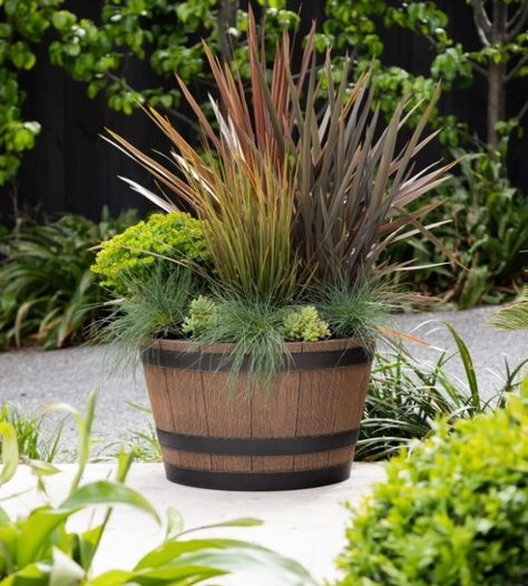 Barrel Garden Ideas, Barrel Planter Ideas, Barrel Garden Planters, Wine Barrel Garden, Wine Barrel Decor, Whiskey Barrel Planter, Wine Barrel Planter, Plastic Planter, Whisky Barrel