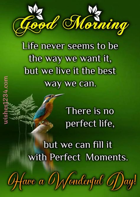 Morning Life Quotes, Prayers Short, Prayers Good Morning, Good Morning Messages For Friends, Morning Messages For Friends, Good Morning Thoughts, Blessed Thursday, Inspirational Quotes Collection, Positive Good Morning Quotes