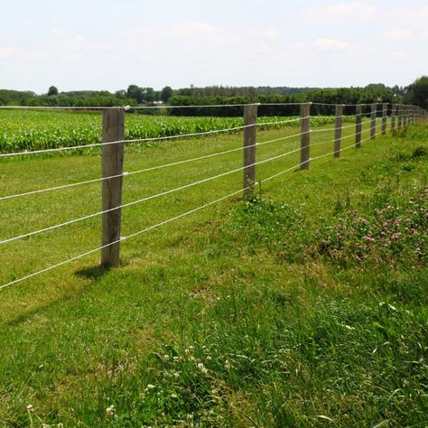 Protecting Your Homestead Property Diy Electric Fence, Property Fence, Dog Ear Fence, Homestead Property, Building A Trellis, Garden Uk, Growing Vines, Cheap Fence, Pallet Fence