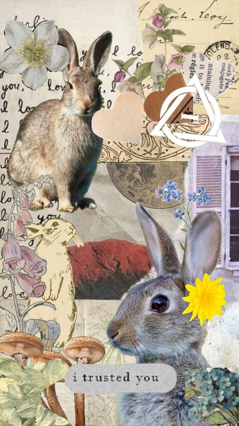 Rabbit/bunnykin❤️ #therian #bunny #rabbit Rabbit Wallpaper Aesthetic, Rabbit Therian, Pink Rabbit Wallpaper, Bunny Coquette, Therian Wallpaper, Rabbit Wallpaper, Maybe In Another Life, Pink Rabbit, Bunny Art