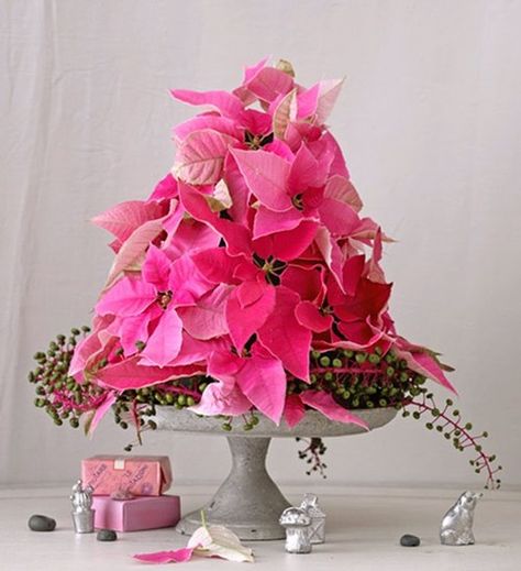 Buy floral spray on silk poinsettias (since they're toxic to cats) and do your own colors. Pink Poinsettia Christmas, Poinsettia Centerpiece, Christmas Cottages, Pink Poinsettia, Kindred Spirit, I Love Jesus, Winter Table, Bright Winter, Pink Life