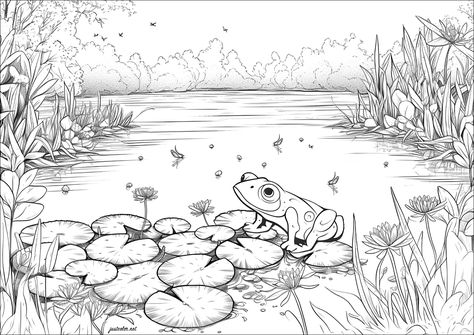 Frog in a beautiful pond - JustColor.net : Free printable coloring pages for adults and kids Popular Coloring Pages, Frog Coloring, Beautiful Pond, Printable Coloring Pages For Adults, Frog Pond, Frog Coloring Pages, Coloring Page For Adults, Karate Martial Arts, Beautiful Water