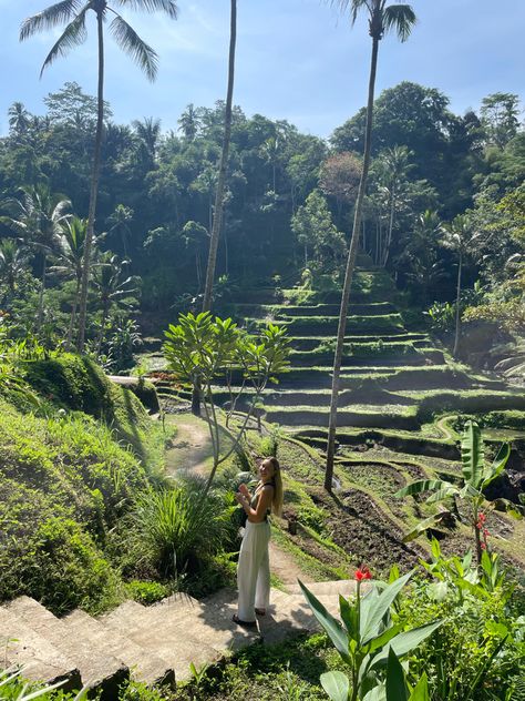 Ubud Rice Terrace, Bali Rice Terraces, Bali Pictures, Bali Summer, Bali Astethic, Bali Ubud, Ubud Bali Aesthetic, Bali Aesthetic, Ubud Bali