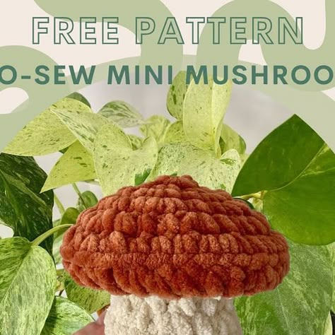 michaila on Instagram: "MINI MUSHROOM 🍄✨  EDIT: row 14 is supposed to say (sc, inc) x6 😊  I am so excited!! This is my first pattern and I am obsessed with it!  This pattern is: 🍄 NO-SEW (!!) 🍄 Quick and easy to make 🍄 Very customizable 🍄 Perfect for markets  🤍 Please remember to tag me when you are posting or selling your mini mushroom online!   I hope you love this pattern as much as I do😊  - #freecrochetpatterns #crochetpattern #mushroompattern #crochetmushroom #freecrochetpattern" Small Mushroom Crochet Pattern, Crochet No Sew Amigurumi Free Pattern, Mushroom Crochet Pattern Free, Crochet Mushroom Pattern Free, Crochet Mushroom Pattern, Market Patterns, Mushroom Crochet Pattern, No Sew Amigurumi, No Sew Crochet