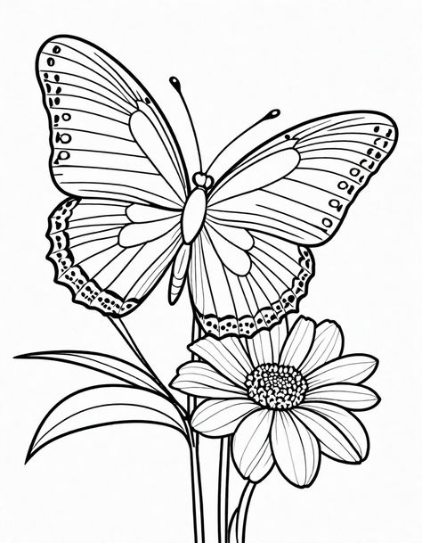 Free Butterfly Coloring Page Monarch Butterfly Coloring Pages, Coloring Page Butterfly, Butterfly Coloring Pages, Butterfly Coloring, Butterfly Printable, Kids Bedroom Furniture, Monarch Butterfly, Colorful Butterflies, Free Coloring Pages