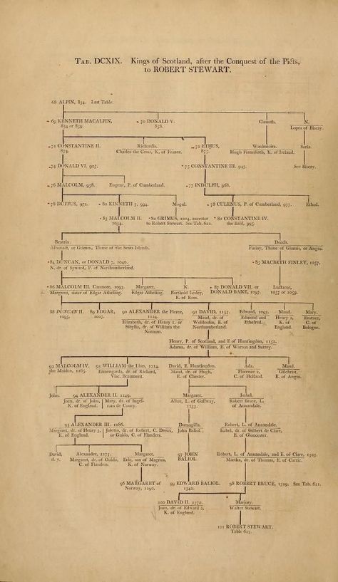 The Tudor Family, Royal Houses, Family Tree Research, Royal Family Trees, Genealogy Chart, Scotland History, Royal History, Scottish Ancestry, Family Tree Genealogy