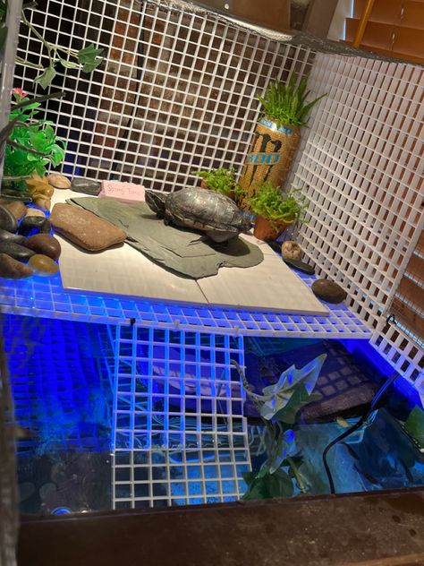 made out of egg crate and vipties Yellow Belly Turtle Tank Ideas, Turtle Basking Area, Yellow Belly Turtle, Turtle Tub, Turtle Tank Ideas, Yellow Bellied Slider, Turtle Tank Setup, Turtle Dock, Turtle Terrarium