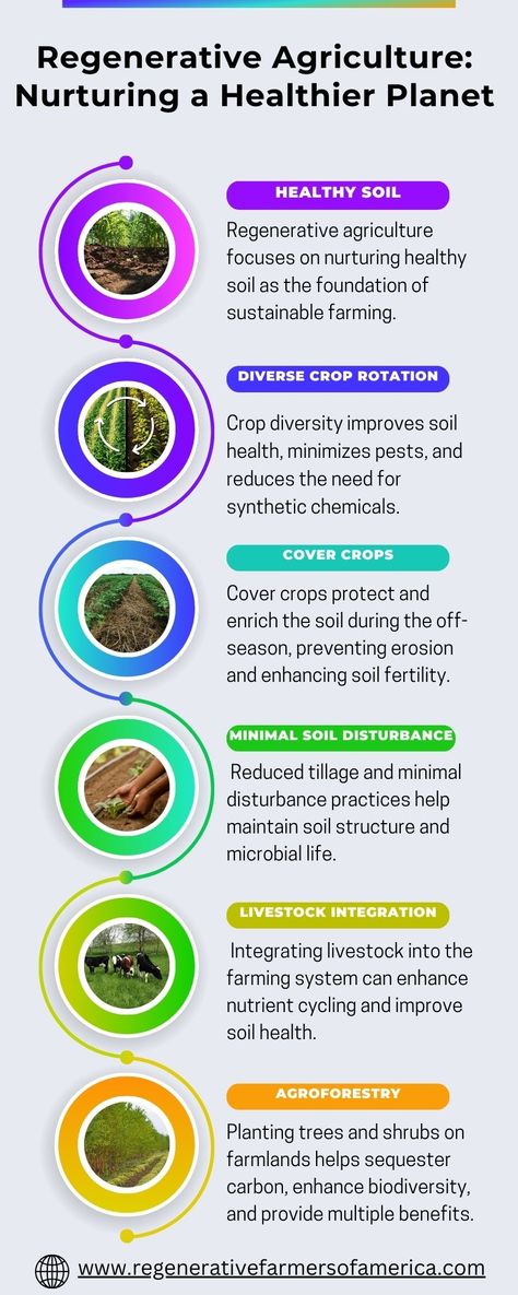 Regenerative Farming Design, Agriculture Projects Ideas, Regenative Agriculture, Farming Ideas Agriculture, Agriculture Tips, Agriculture Lessons, Regenerative Gardening, Smart Village, Terrace Farming