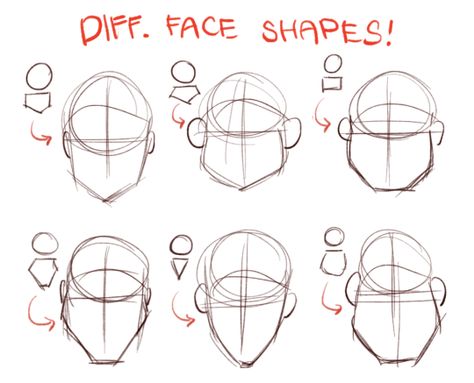 Face Types Shape Drawing, Head Shapes Sketch, Male Face Structure Drawing, Drawling Templets Face, Basic Head Shape Drawing, How I Draw Heads Tiktok, Male Face Shape Drawing Reference, Head Structure Reference, Head Shape Drawing Reference