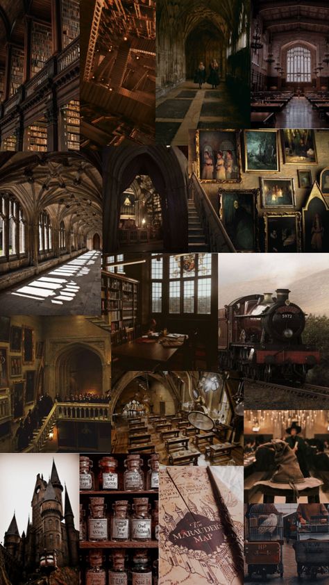 #harrypotter #hogwarts #aesthetic #darkacademia #hermionegranger #ronweasley Hogwarts Aesthetic Room, Hogwarts Autumn Aesthetic, Academy Aesthetic School, Hogwarts Dark Academia, Dark Academia Wallpaper, Fairy Wallpaper, Aesthetic Dark Academia, Hogwarts Aesthetic, Academia Wallpaper