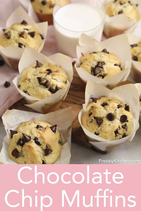 Easy Chocolate Chip Muffins, Best Chocolate Chip Muffins, Chocolate Chip Muffins Easy, Chocolate Chip Muffin Recipe, Bakery Style Muffins, Canned Butter, Preppy Kitchen, Baking Fun, Choco Chips