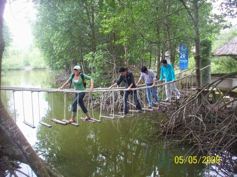 Can Gio Mangrove Forest - top venue for nature lovers Can Gio Mangrove Forest, Travel Overseas, Ocean Scenery, Floating Architecture, Mekong Delta, Mangrove Forest, Vietnam Tours, Overseas Travel, Farm Stay