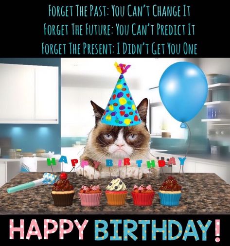 Happy Birthday From Grumpy Cat 🎂🎈🎉 Grumpy Cat Birthday, Funny Quotes Birthday, Cat Happy Birthday, Happy Birthday Quotes For Him, Funny Happy Birthday Meme, Funny Happy Birthday Pictures, Funny Birthday Meme, Funny Happy Birthday Wishes, Birthday Greetings Funny