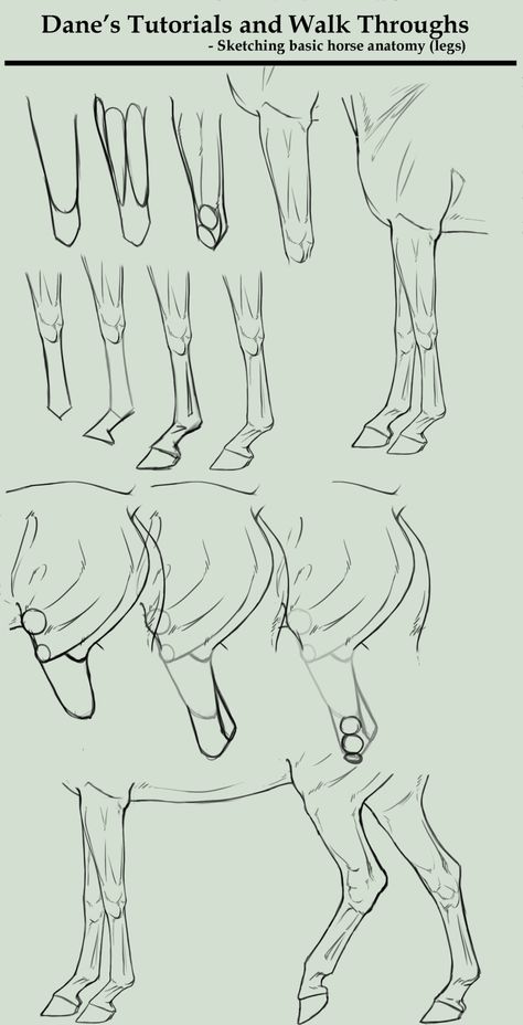 Horse Drawing Tutorial, Draw A Horse, Horse Art Drawing, Drawing Legs, Drawing Instructions, Horse Sketch, Horse Anatomy, Drawing Lesson, Horse Illustration