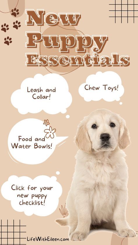 Puppy Essentials, Puppy Items, New Puppy Checklist, Puppy Checklist, Puppy Shampoo, Cozy Beds, Elevated Dog Bowls, Puppy Proofing, Puppy Pads