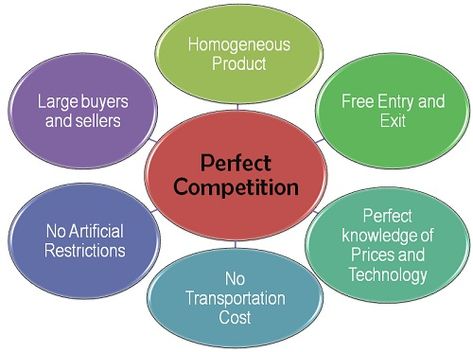 Perfect Competition Economics, Market Structure Economics, Perfect Competition Market, Economics Poster, Market Structure, Economics Notes, Economics Project, Perfect Competition, Motivation Video