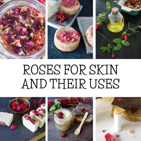 Dive into the elegance of rose petals with our collection of 30+ DIY skin care recipes. Discover how to harness the soothing properties of roses to rejuvenate your skin, leaving it radiant and beautiful. Perfect for anyone interested in homemade skin care and natural remedies. From rose oil to rose water! Find more rose oil for skin, healing flowers, and DIY natural makeup recipes at simplybeyondherbs.com. Natural Makeup Recipes, Rose Oil For Skin, Diy Natural Makeup, Healing Flowers, Makeup Recipes, Hair And Skin Care, Daily Skincare Routine, Diy Skin Care Recipes, Diy Recipes