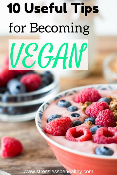 Have you ever tried to become vegan before? It can be difficult to change your lifestyle, whether to be completely plant based or vegan. Learn how to succeed with your journey to healthy eating with these 10 tips! Healthy Vegan Pancakes, Oatmeal Breakfast Bars Healthy, Becoming Vegan, Diy Healthy Snacks, Vegan Grocery List, How To Become Vegan, Vegan Guide, Vegan Living, Vegan Gluten Free Recipes