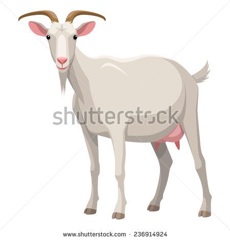 Goat Black And White Stock Photos, Images, & Pictures | Shutterstock Goat Face, Mountain Goat, The Goat, Fabric Panel, Digital Print Fabric, Cartoon Images, Free Vector Art, Fabric Panels, Textile Prints