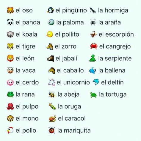 Spanish Notes, Useful Spanish Phrases, Spanish Words For Beginners, Preschool Spanish, Basic Spanish Words, Learning Spanish For Kids, Spanish Basics, Spanish Lessons For Kids, Learning Spanish Vocabulary