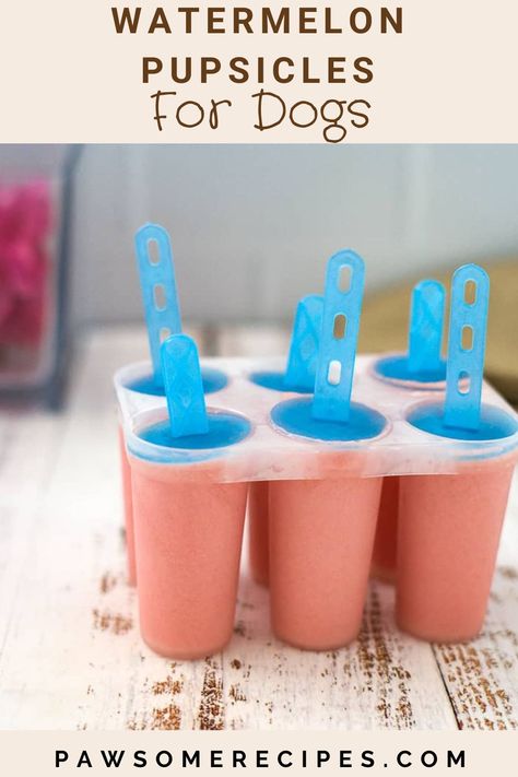 Melon Milk, Frozen Watermelon, Dog Treats Homemade Recipes, Homemade Dog Food, Ice Pops, Dog Treat Recipes, Treat Holder, Homemade Dog, Homemade Treats