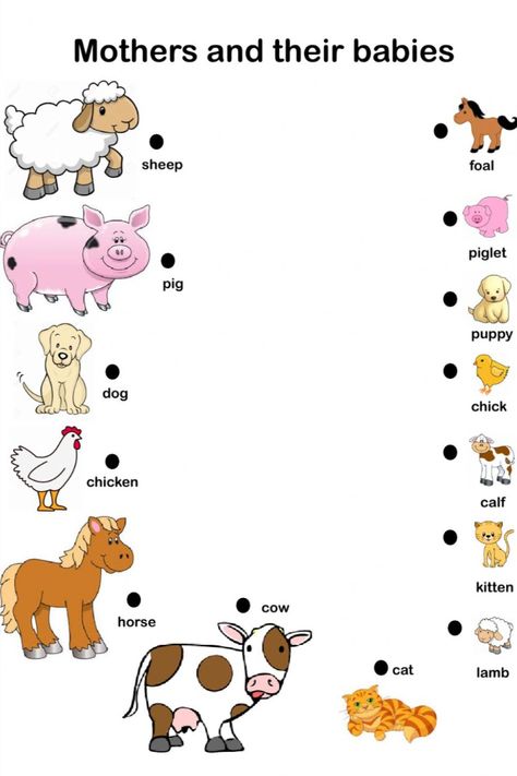 Are you looking for free Baby Animals and their Parents for free? We are providing free Baby Animals and their Parents for free to support parenting in this pand Math Shapesmic! #BabyAnimalsandtheirParents #ParentstheirandAnimalsBaby #BabyAnimals #ParentsAnimals #Baby #Animals #Parents #Worksheets #WorksheetSchools Nursery School Activities, Animals Worksheet, Animals And Their Homes, Farm Animals Preschool, Farm Animals Activities, Baby Animal Names, Farm Theme Preschool, Farm Preschool, Farm School