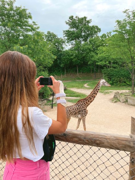 #zoo #summerday #summer #giraffe #aesthetic Zoo Aesthetic Date, Zoo Asthetic Picture, Zoo Trip Aesthetic, Zoo Instagram Pictures, Zoo Aesthetic Outfit, Zoo Aesthetic With Friends, Zoo Pictures Ideas, Zoo Photo Ideas, Zoo Outfit Summer