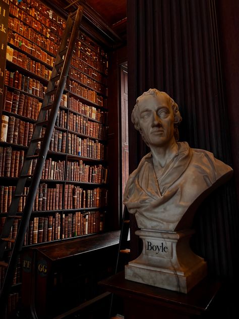 The Long Room Trinity College, Dark Academia Library, Trinity College Library, Dream University, Long Room, College Library, College Aesthetic, Trinity College, Dark Academia