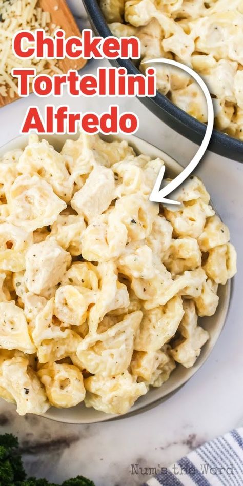 For the absolutely best comfort food, try this Chicken Tortellini Alfredo! Quick to make, filling, and a totally delicious meal, it’ll quickly become a family favorite and weeknight staple! #numstheword #chicken #tortellini #alfredo #delicious #weeknightmeal #comfortfood #maindish Instant Pot Chicken And Tortellini, Instant Pot Chicken Tortellini Alfredo, Chicken Tortellini Alfredo, Chicken Alfredo Tortellini, Food Rocks, Tortellini Alfredo, Chicken Lickin, Chicken Tortellini, Tortellini Recipes