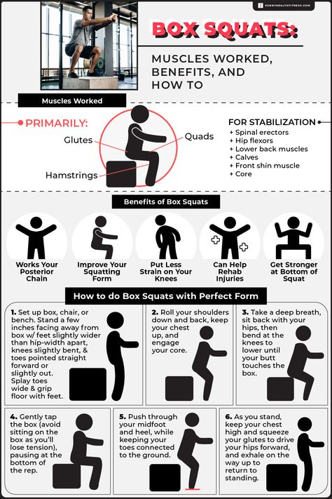 Squats Benefits, Squats Muscles Worked, Proper Squat Form, Box Squats, Low Intensity Cardio, Benefits Of Squats, Squat Form, Squat Variations, Nasm Cpt