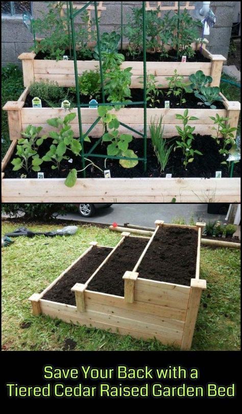 Tiered Cedar Raised Garden Bed #raisedbed #garden #diy #cheap #decorhomeideas Kebun Herbal, Moderne Have, Pallet Projects Garden, Cedar Raised Garden Beds, Raised Vegetable Gardens, Diy Garden Bed, Building Raised Garden Beds, Tanaman Pot, Cedar Garden