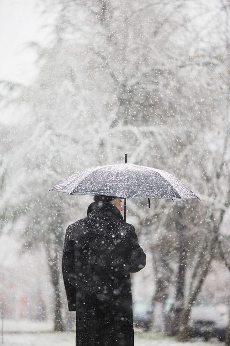 Man Holding Umbrella, Snowy Pictures, Holding Umbrella, British Christmas, Dog Days Are Over, Winter Portraits, Winter Color Palette, Winter Sky, Winter Photo