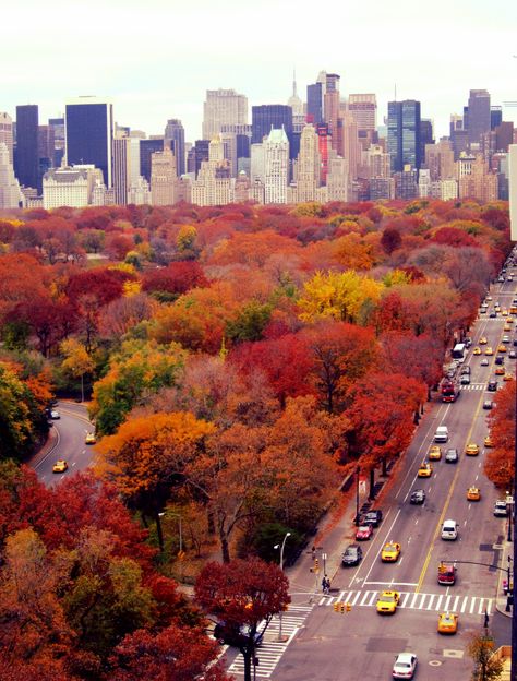 Throwback Thursday, Fall in central park 2011 | Central Park… | Flickr New York Facts, New York In November, November Aesthetic, Fall City, Urban Heat Island, Honeymoon Places, Autumn In New York, New York Photography, Florida Living