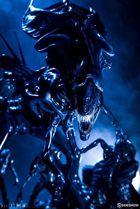 Queen Xenomorph, Xenomorph Queen, Giger Art, Alien Movies, Aliens 1986, Aliens Vs Predator, Alien Xenomorph, Alien 1979, Le Cri