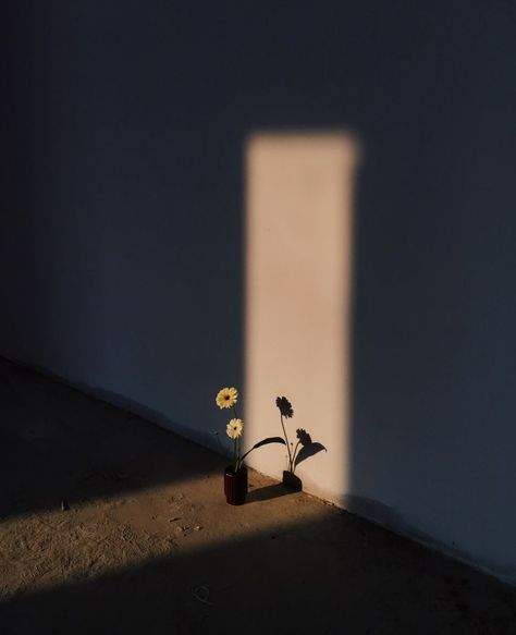 Fotografi Urban, Minimalist Photos, Shadow Photography, Photographie Inspo, Minimalist Photography, Cinematic Photography, Aesthetic Pastel Wallpaper, Hairstyles Ideas, The Shadow