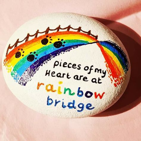 Dog Memorial Rock Painting, Memorial Stones Diy, Rainbow Colors In Order, Doggie Quotes, Pet Memorial Tattoo, Bridge Painting, Painted Rock Animals, Pet Memorial Stones, Rainbow Paint