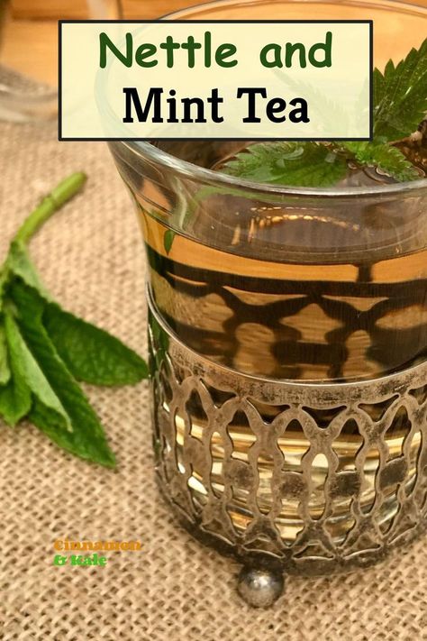 Nettle Tea Recipe, Peppermint Tea Recipe, Homemade Drinks Recipes, Nettle Tea, Tea Blends Recipes, Turmeric Health, Cinnamon Tea, Refreshing Summer Drinks, Healthy Coffee