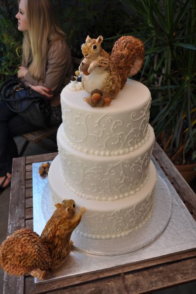 Squirrel Wedding, Squirrel Cake, Funny Wedding Cakes, Squirrel Pictures, Squirrel Funny, Cute Squirrel, Cake Pan, Love Cake, Pretty Cakes