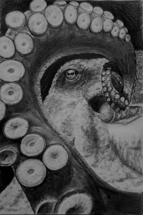 Realistic Art Black And White, Octopus Realistic Drawing, Black And White Sketchbook Ideas, Octopus Pencil Drawing, Sealife Gcse Art, Octopus Pyrography, Underwater Drawing Pencil, Octopus Drawing Sketches, Big Sketchbook