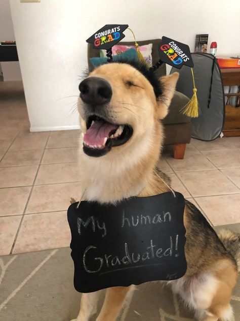 Dog Graduation Party, Dog Cap And Gown, Funny College Graduation Pictures, Veterinarian Graduation Party Ideas, Veterinarian Graduation Pictures, Graduation Picture With Dog, Graduation Pics With Dog, Vet Graduation Pictures, Funny Grad Photos