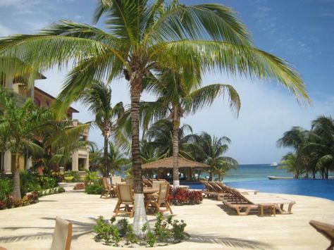 Infinity Bay Resort, West Bay, Roatan, Honduras. Enjoy your holiday en Paradise!!!!! - TripAdvisor Enjoy Your Holiday, Roatan Honduras, West Bay, Roatan, Honduras, Spring Break, House Rental, Vacation Rentals, Trip Advisor