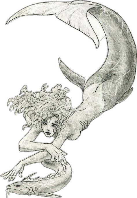 Pencil Drawing Techniques, Creatures Drawing, Portrait Pencil, Pitbull Art, Pencil Portrait Drawing, Mermaid Tattoo, Feminine Art, Creature Drawings, Desenho Tattoo