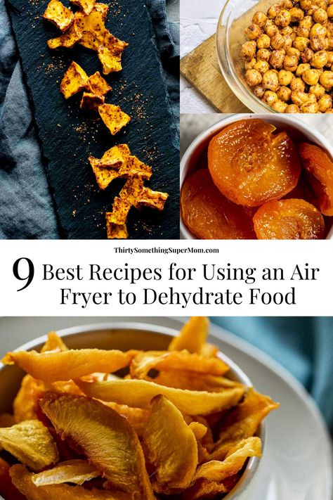 Find out how to make the 9 best air fryer dehydrator recipes and learn the best tips on how to use your air fryer as a dehydrator. Air Fryer Dehydrator Recipes, Dehydration Method (food), Dehydrator Recipes Fruit, Apple Chips Recipe, Nectarine Recipes, Air Fryer Cooking Times, Best Air Fryer, Healthy Dog Treats Homemade, Yummy Healthy Snacks