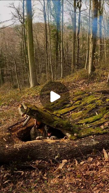 Survival Tents Shelters, Bushcraft Camping Shelters, Apocalypse Room, Bushcraft Cabin, Underground Survival Shelters, Underground Storm Shelters, Shelters In The Woods, Camping Craft, Wilderness Survival Shelter