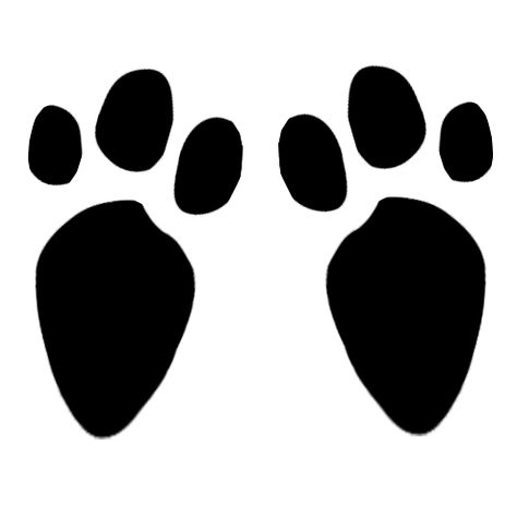 298 views Footprint Rabbit, Bunny Footprint Template, Bunny Feet Template Printable, Easter Dog Paw Art, Rabbit Footprints, Easter Bunny Tracks, Easter Printables Free, Easter Printables, Easter Bunny